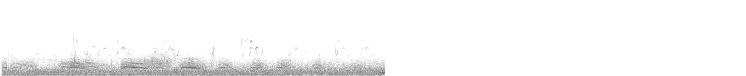 pelikán severoamerický - ML285489631