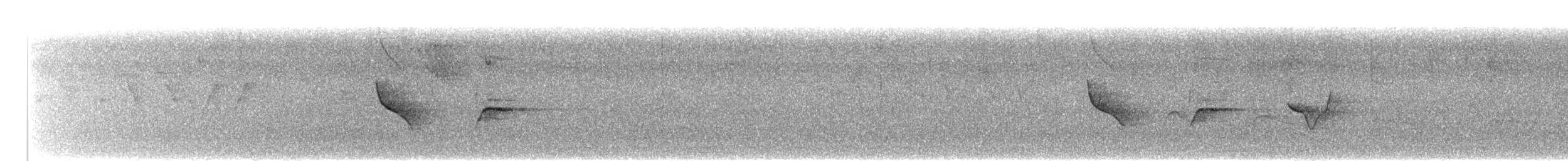 Заросляк сірогрудий - ML285502791