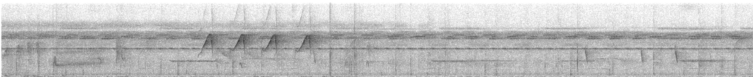 Rufous-tailed Stipplethroat - ML285572961