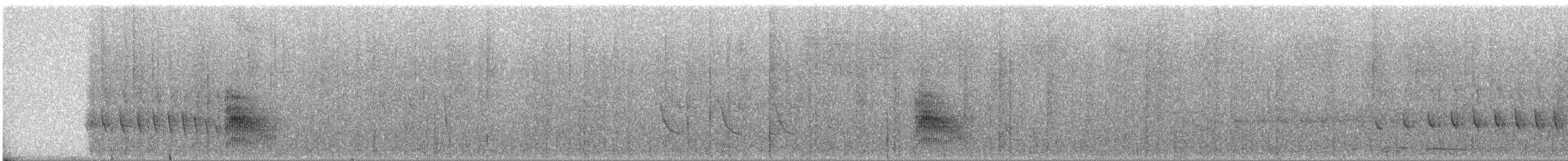 Spot-tailed Antwren - ML285588