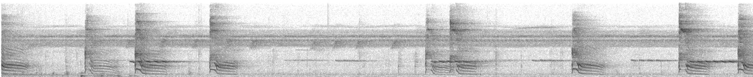 Rothalsspecht - ML285596421