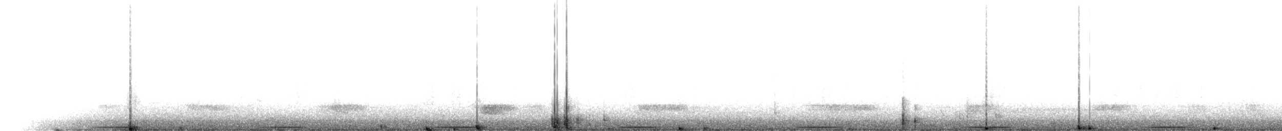 Avustralya Bıldırcınyelvesi - ML285636571