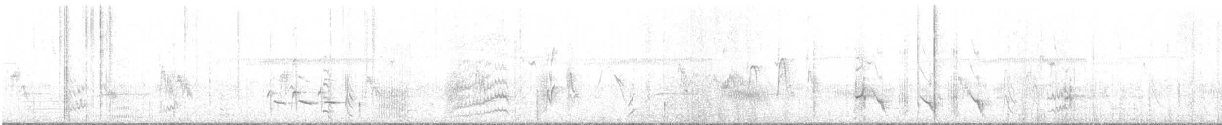 Yellow-tailed Black-Cockatoo - ML285647121