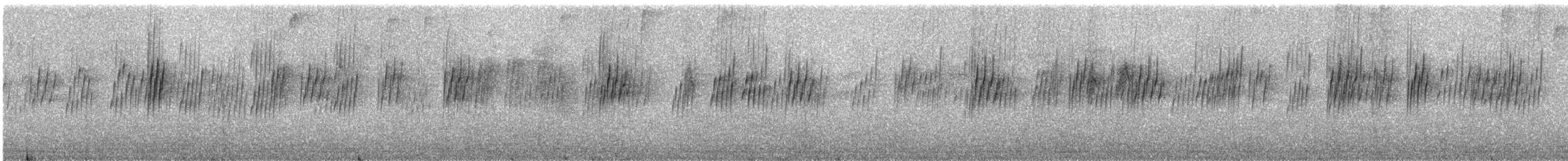 Hirondelle de Chapman - ML285672