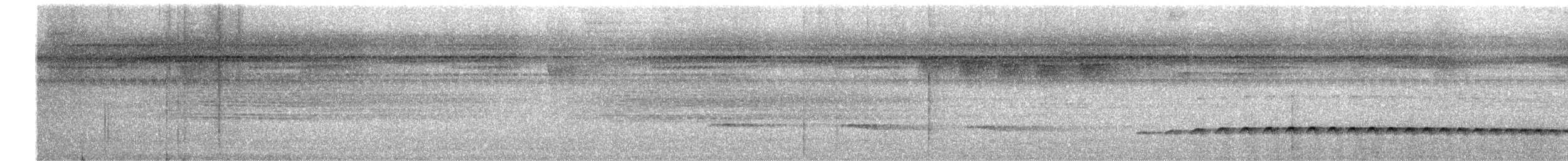 Batarito Coronipunteado - ML285672921