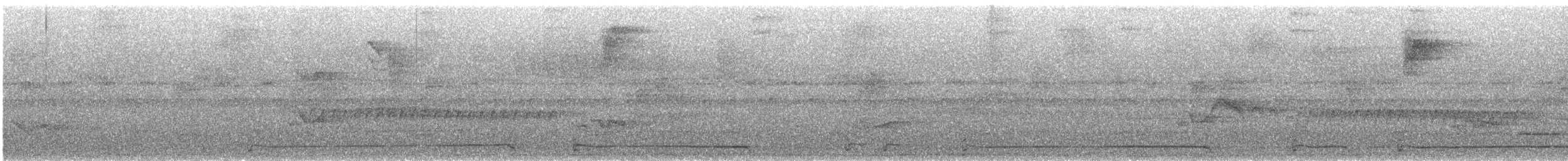 Band-tailed Guan - ML285684