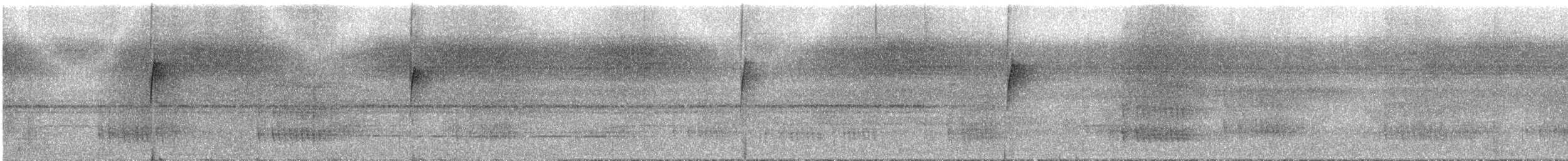 Whiskered Flycatcher - ML285717