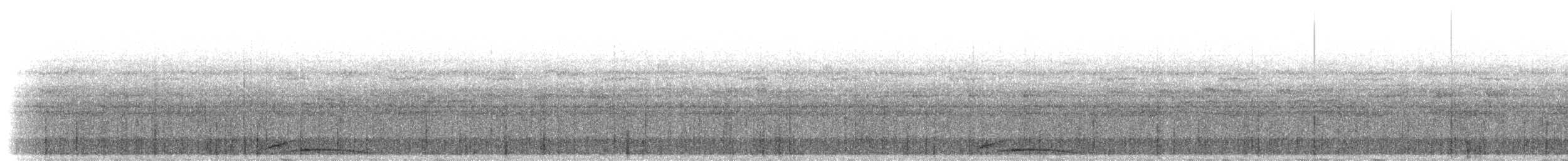 Uzun Kuyruklu Putu - ML285744