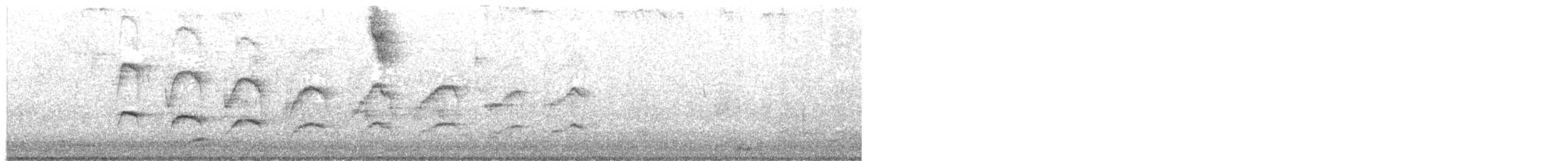 Taurillon roitelet - ML285747381