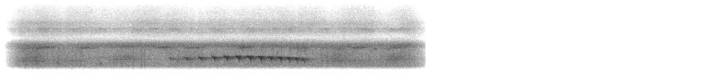 skjeggmaursmett (obscura) - ML285762