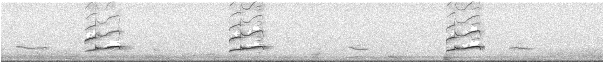 Black-bellied Plover - ML285846041