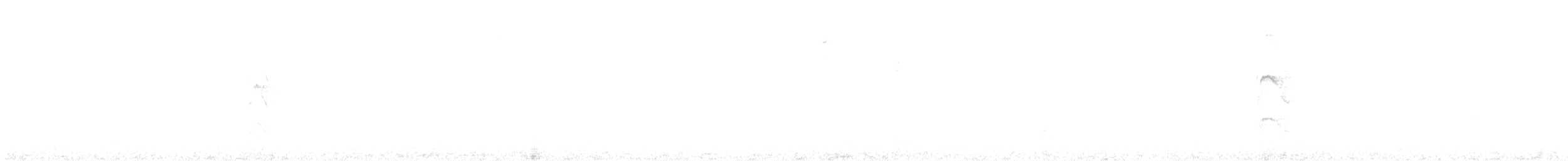 Ticotico de Anteojos - ML285853381