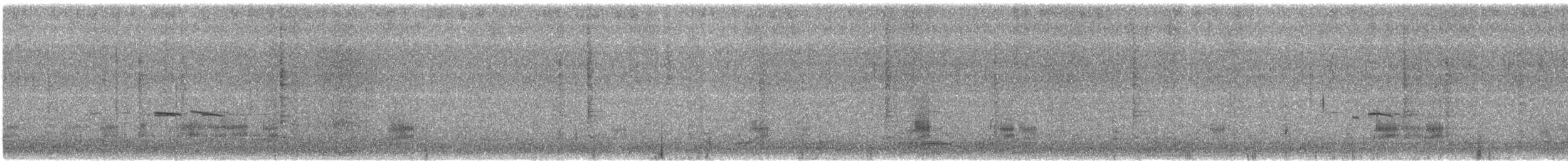 Gadwall - ML285868291