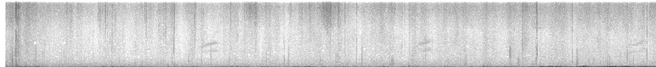 Тауї плямистий - ML285902761