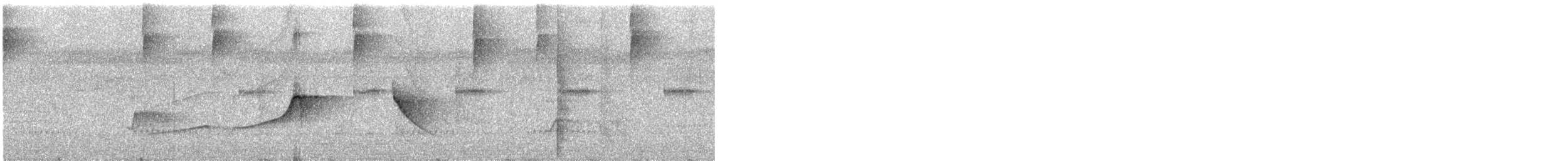 Светлобрюхий тиранн-плакса - ML285939