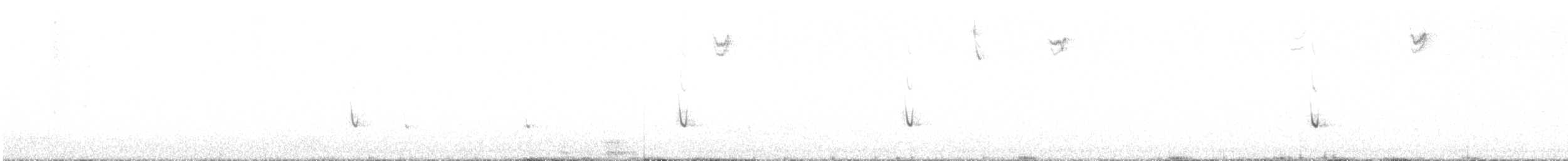 Белохвостый коршун - ML285950411