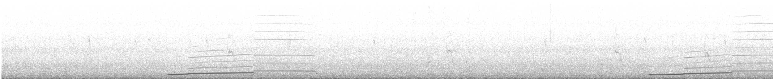 Черноклювая гагара - ML285997381