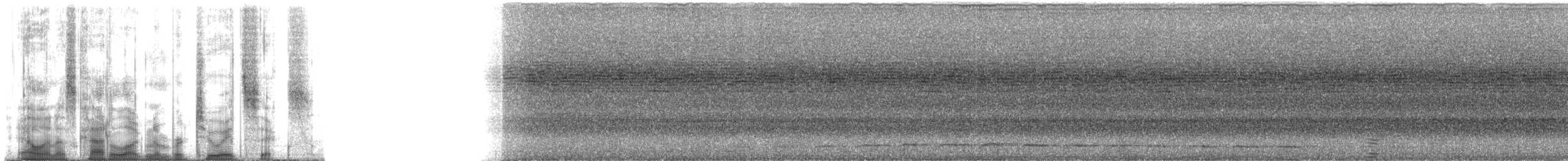 Diard Trogonu - ML286