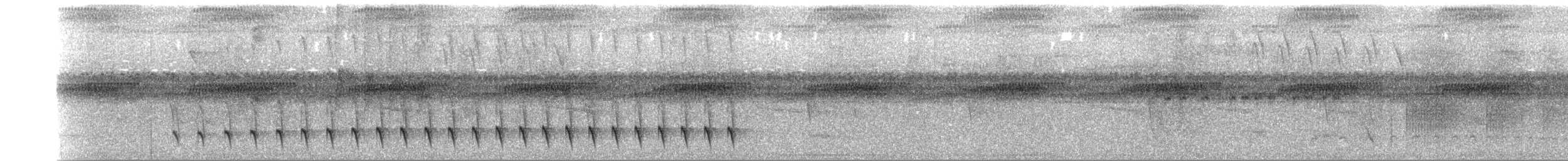 ズキンヒメアリサザイ - ML286001051