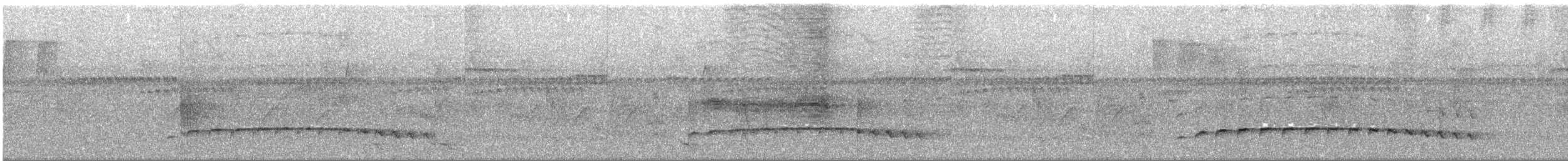 Fleckenbrust-Ameisenvogel - ML286001091