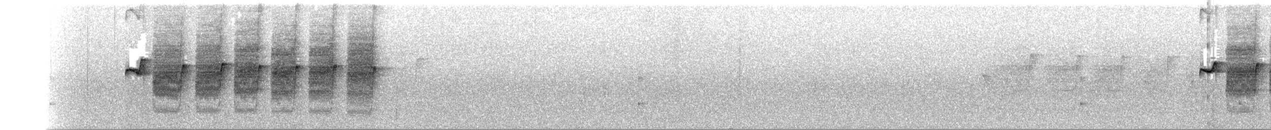 Rostschwanz-Ameisenfänger - ML286001851