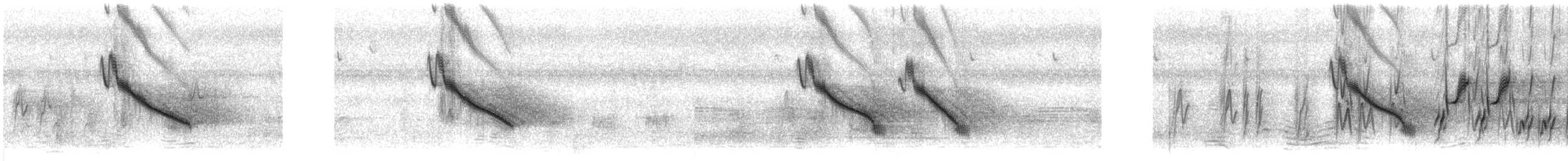 Weißbrauenstelze - ML286002101