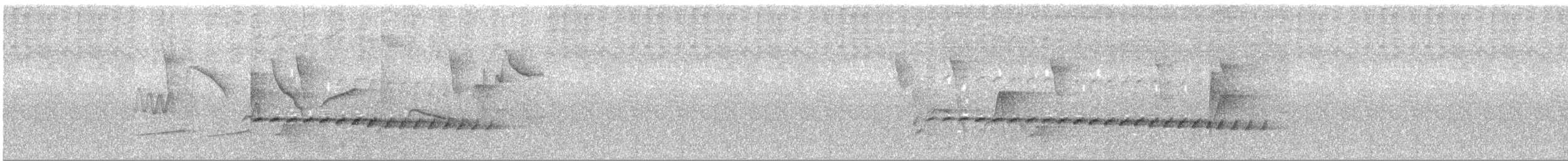 Rostrücken-Ameisenvogel - ML286003881
