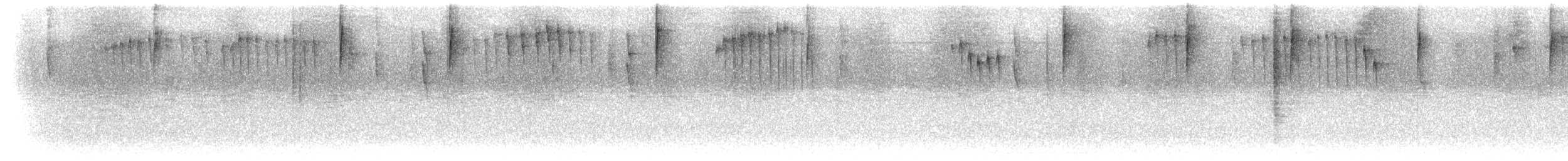 perlestammeløper - ML286066