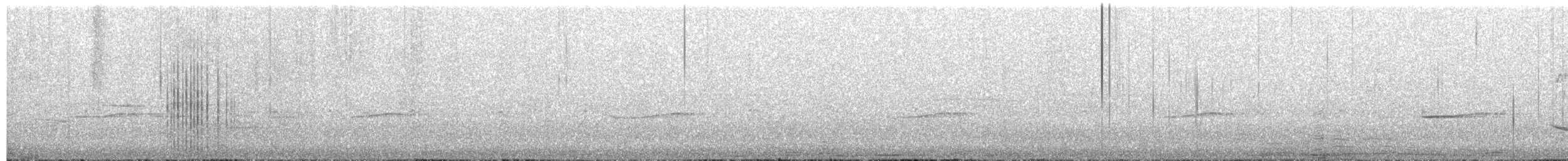 grovstripehonningeter - ML286069431