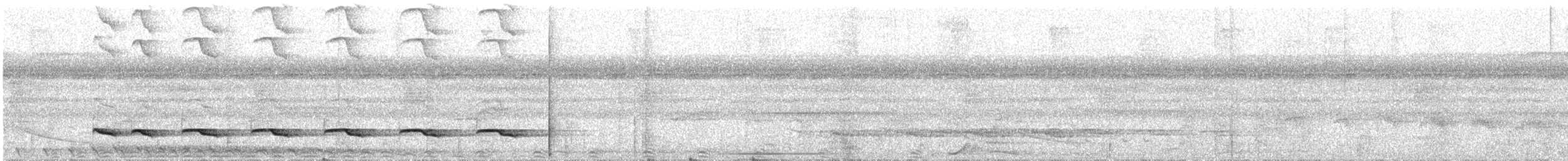 Weißschulter-Ameisenvogel - ML286083461