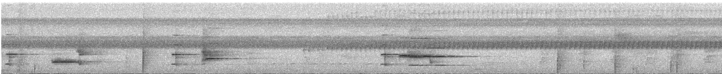Maïpouri à ventre blanc (xanthomerius) - ML286085291