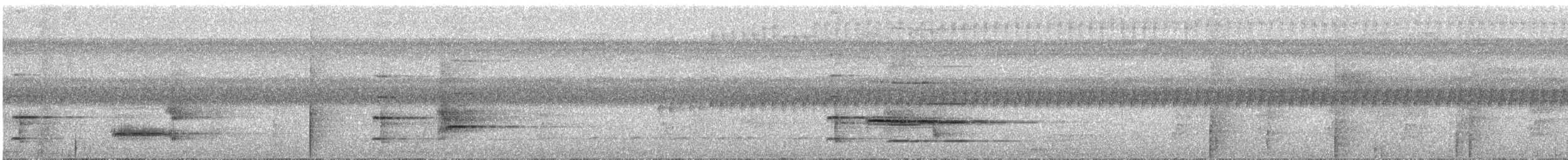 Ak Karınlı Papağan (xanthomerius) - ML286085291