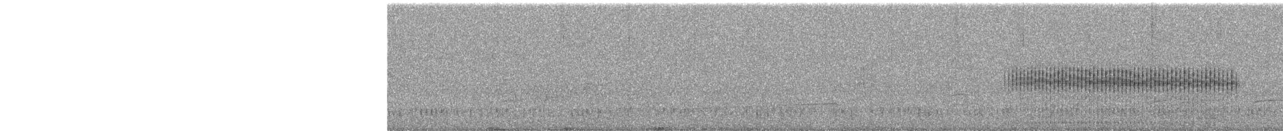 Baillon's Crake - ML286133231