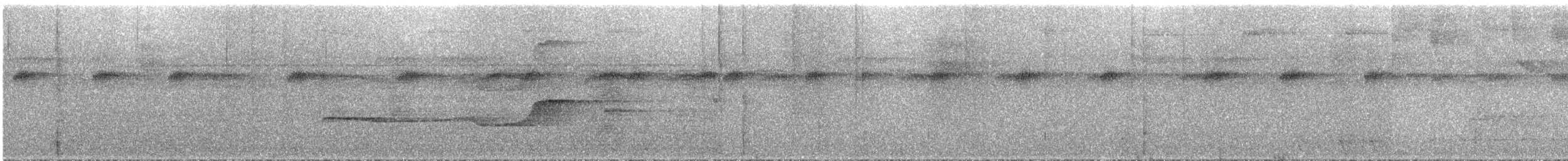 オリーブツグミマイコドリ - ML286175