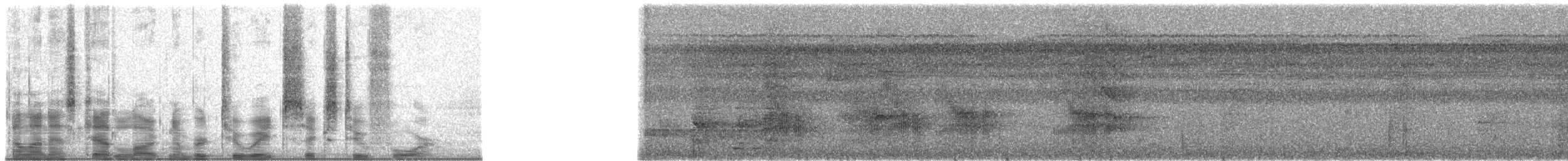 Чернохвостая титира (cayana) - ML28624