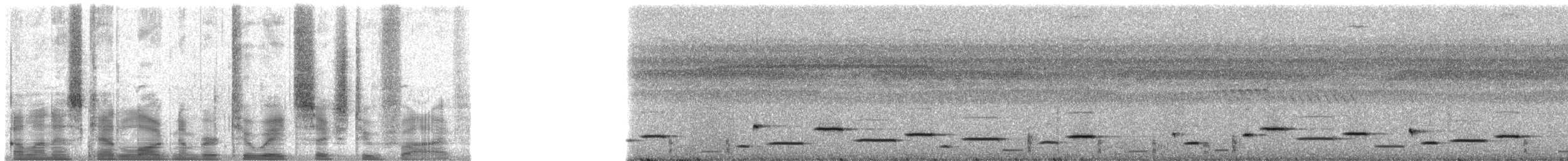 Troglodyte arada (salvini) - ML28625