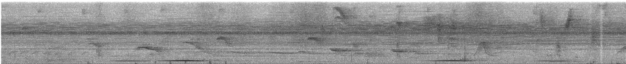 holub šedočelý - ML286289