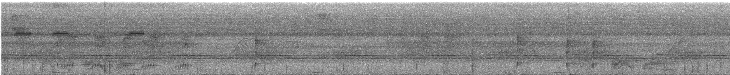 Todirostre noir et blanc - ML286314951