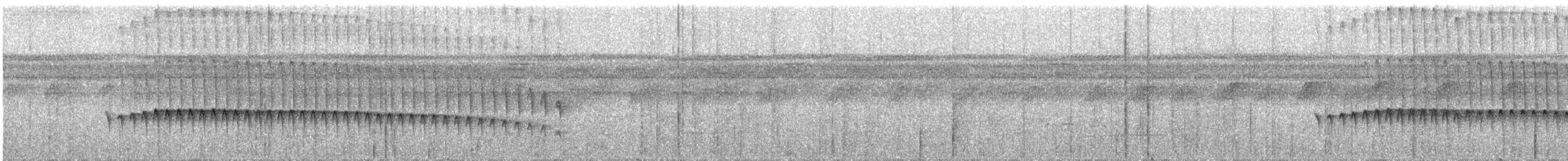 Dreibinden-Ameisenvogel - ML286316541
