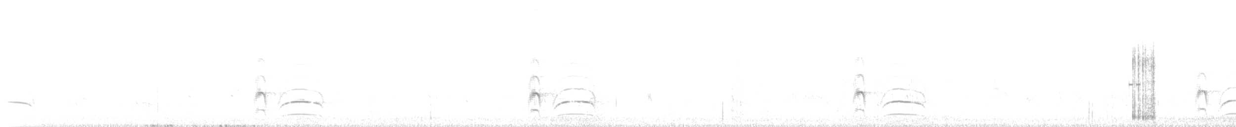 Büyük Kiskadi Tiranı - ML286324171