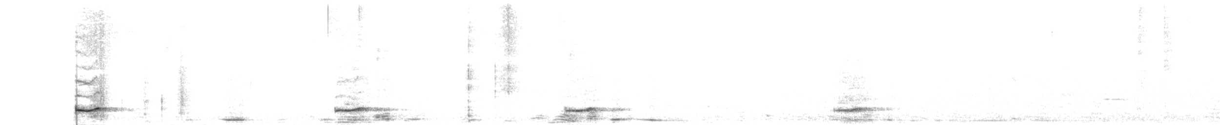 Short-tailed Nighthawk - ML286335201