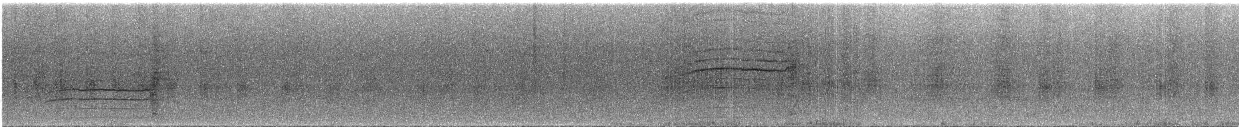 Толстоклювый мечник [группа promeropirhynchus] - ML286337