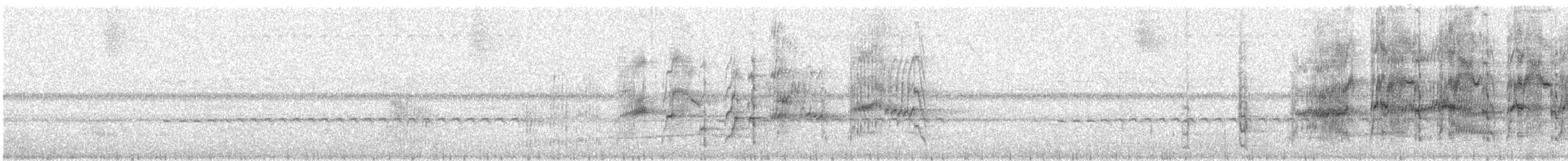 oransjekronet hvitbukpapegøye - ML286348261