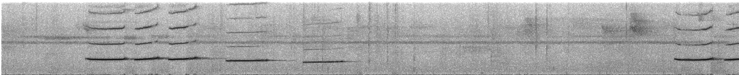 Troglodyte flûtiste - ML286370