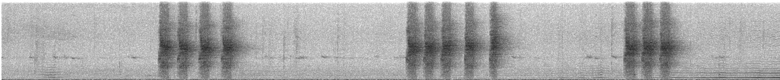 Inkablaurabe [yncas-Gruppe] - ML286412