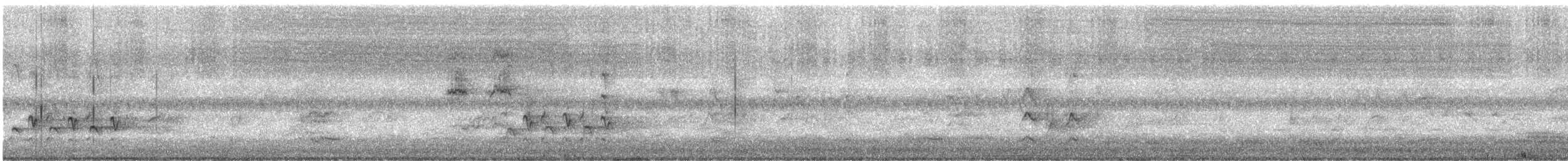 Pale-headed Rosella - ML286491911