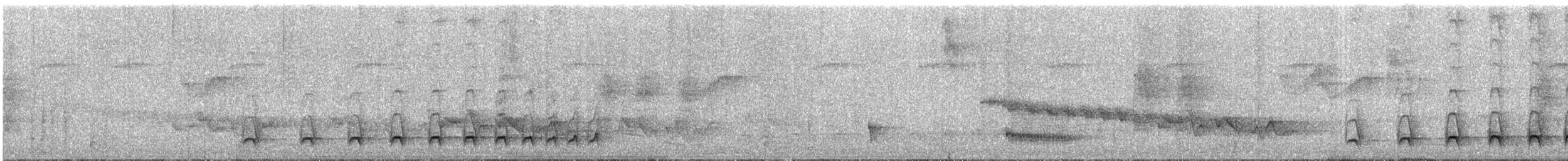 Black-crested Antshrike (Black-crested) - ML286496