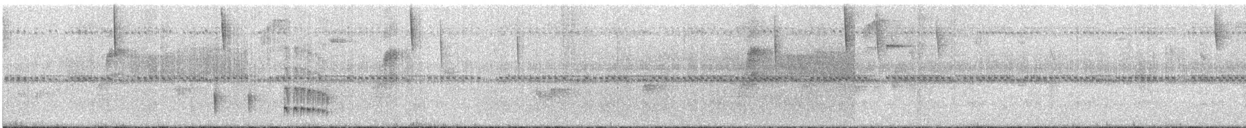 Todirostre roussâtre - ML286534