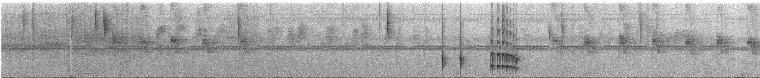 Todirostre roussâtre - ML286535