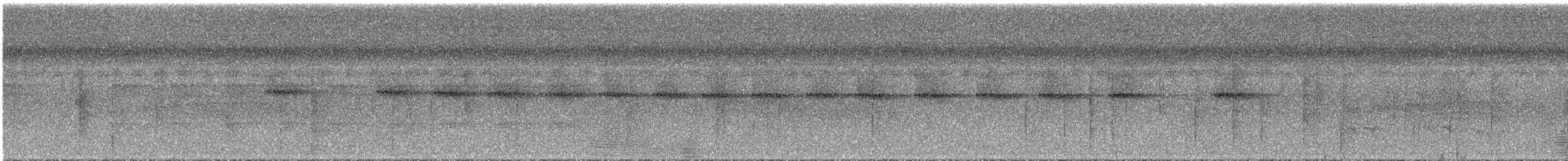 Короткохвостая аруна - ML286558